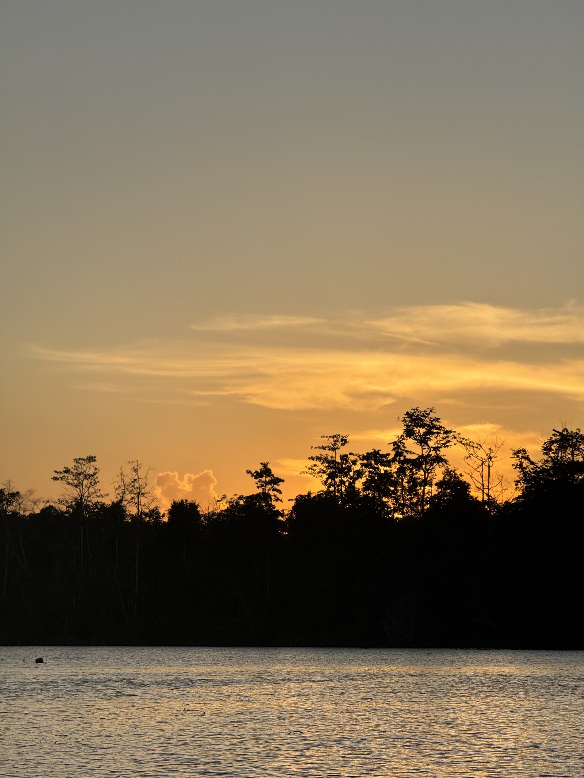 Sonnenuntergang bei der Flusssafari