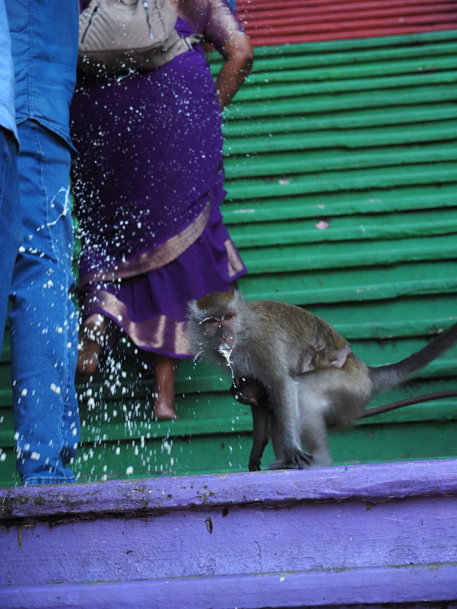 Malaysia Reisebericht: Wo Regenwald auf Skyline trifft Affen bei Batu Caves