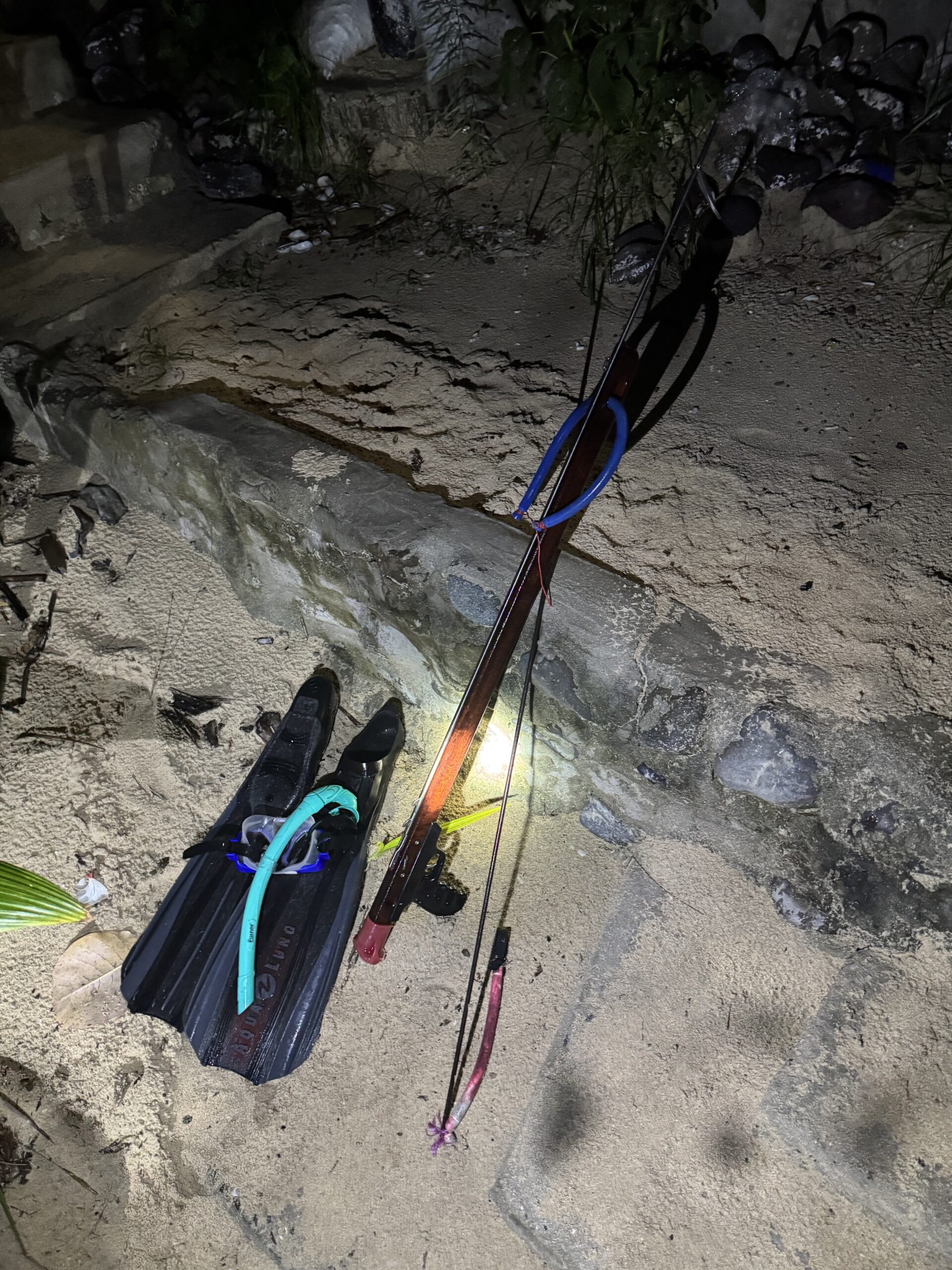 Aktivitäten mit Adrenalin: Nachtspeerfischen auf Fidschi