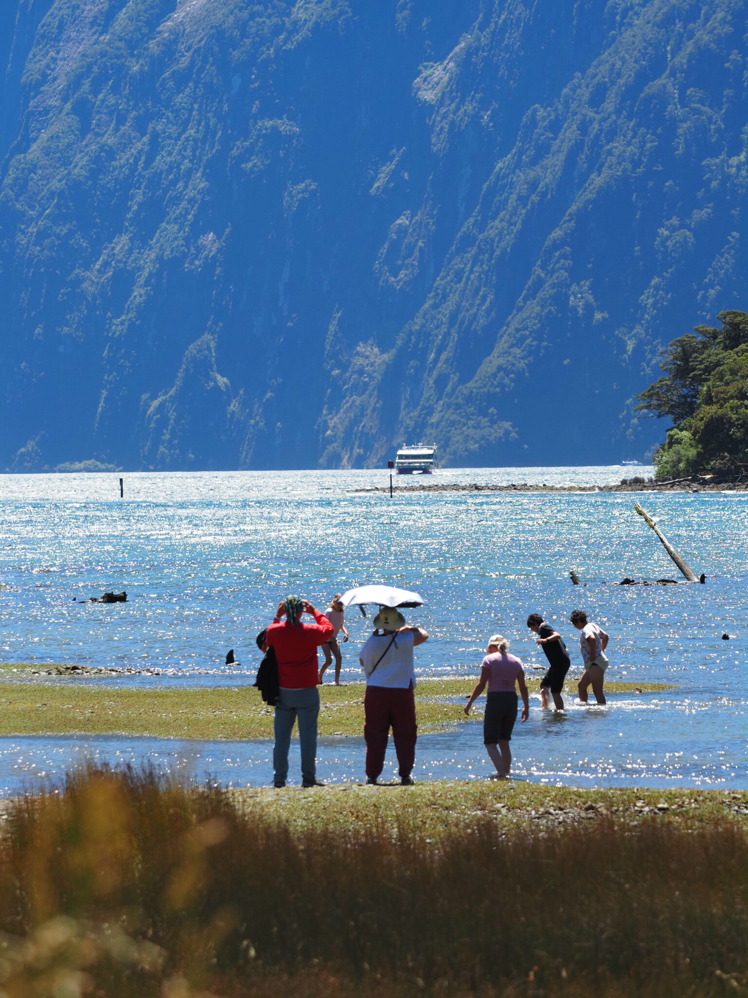 Neuseeland Reisebericht: Ein Start, der uns direkt sprachlos gemacht hat Milford-sound-aussicht