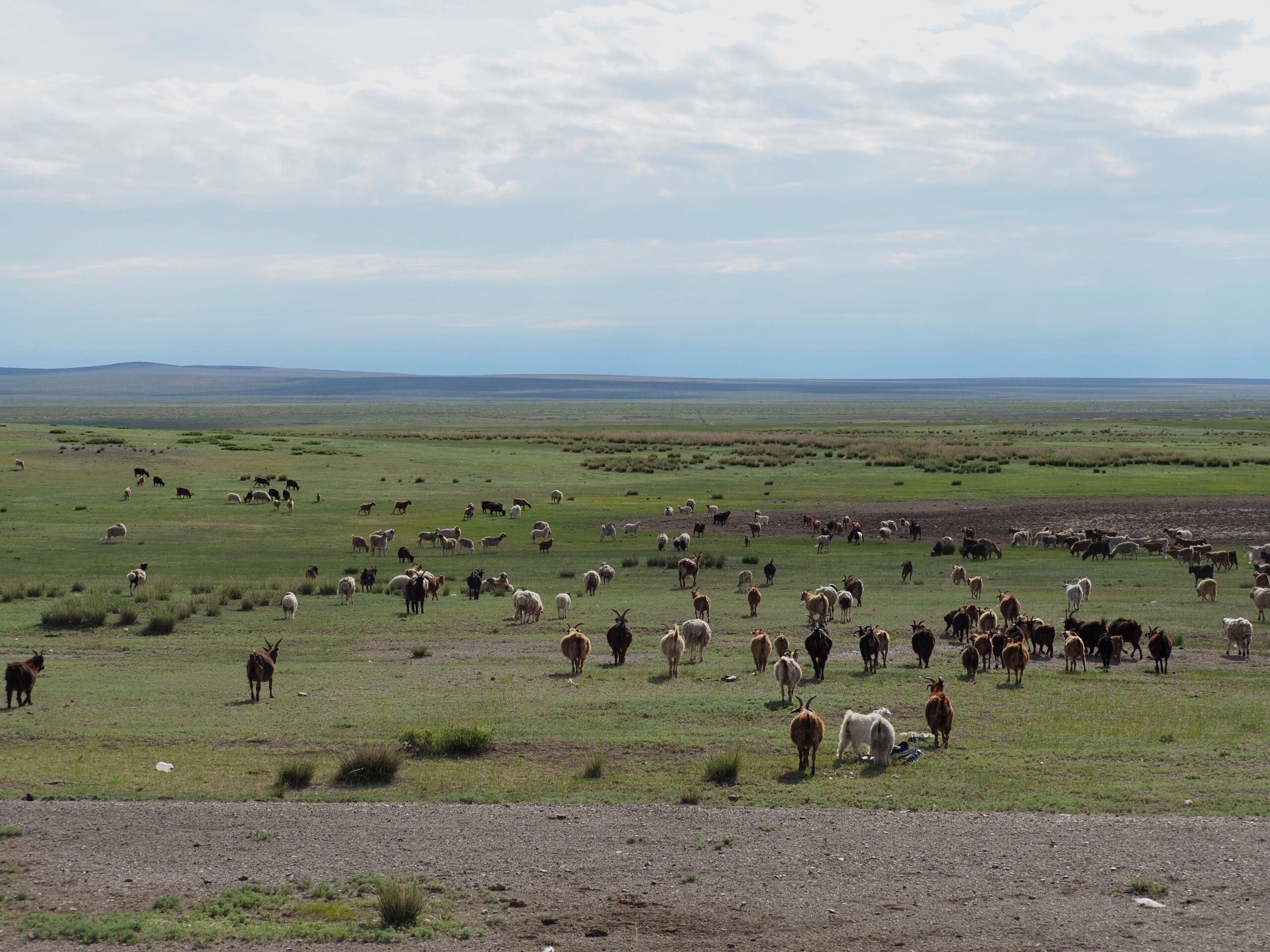 Mongolei-natur
