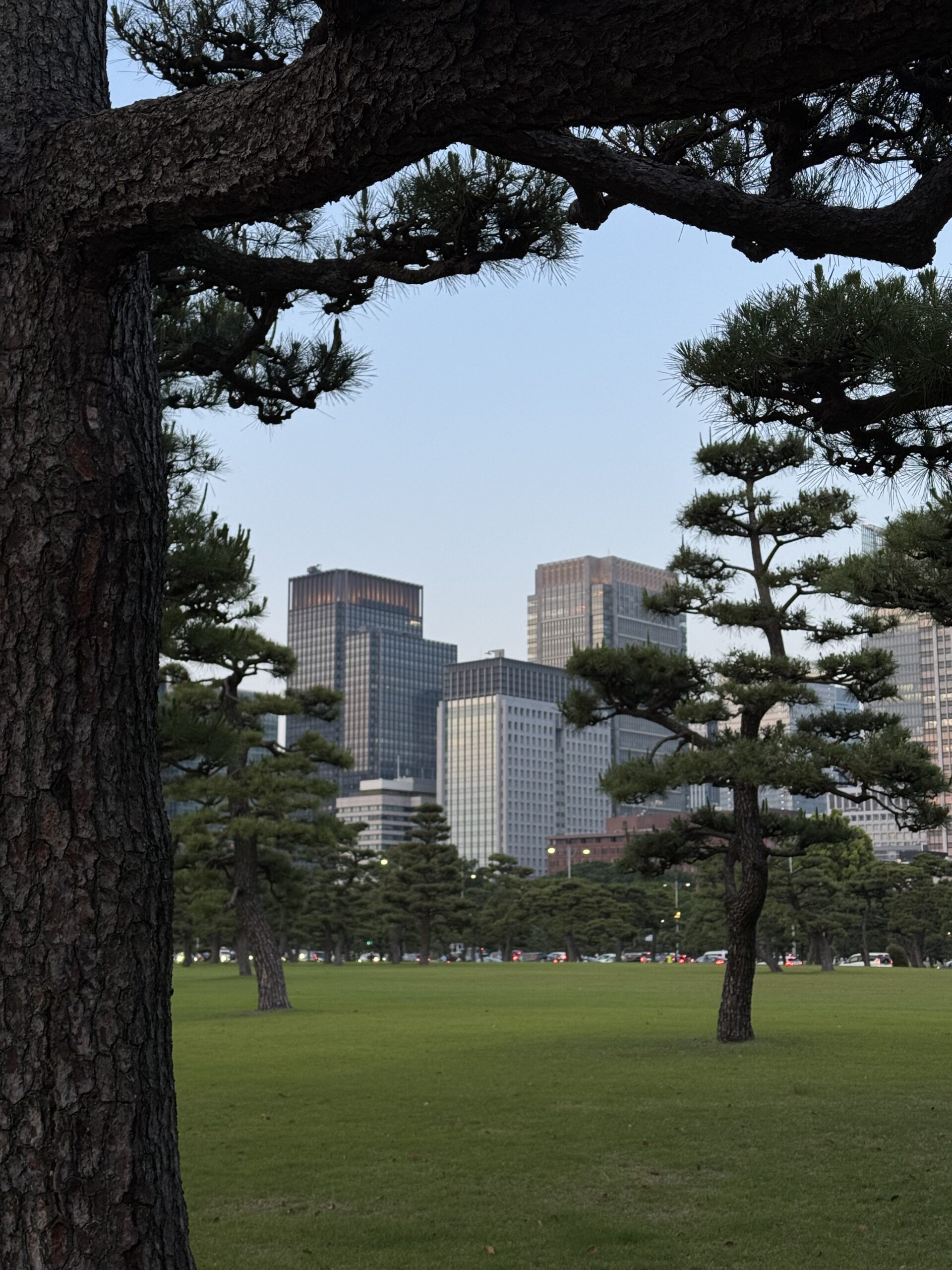 Japab-Tokio-ginza