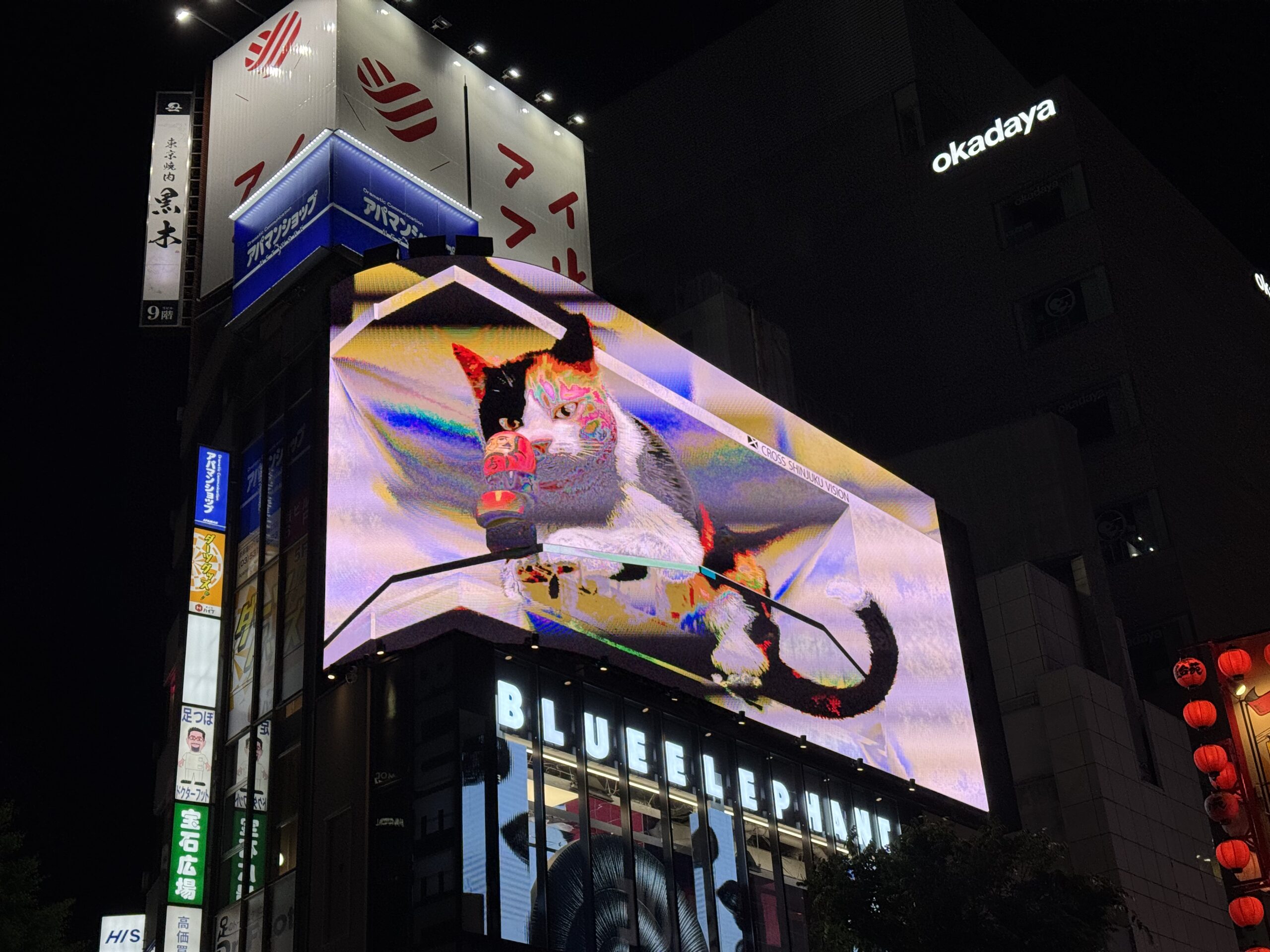 Japan-shinjuku-katze